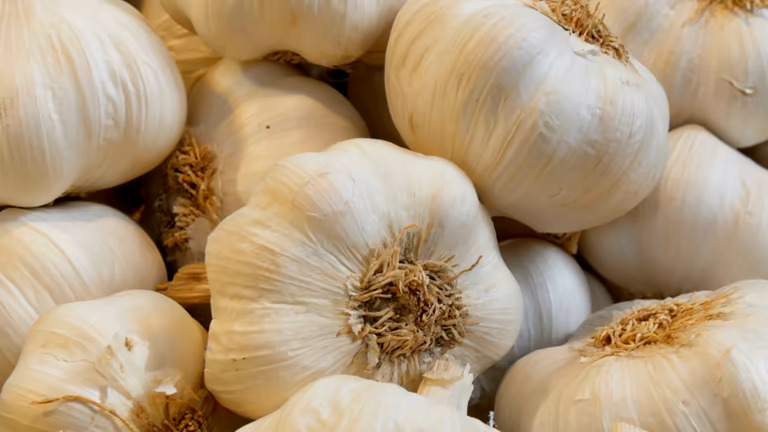 Garlic - Fresh Produce