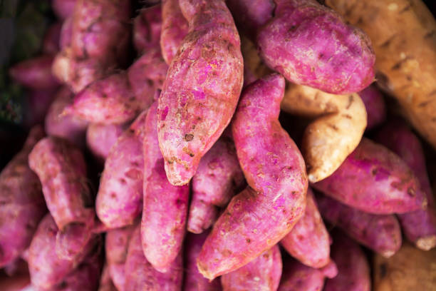 Sweet Potato - Fresh Produce